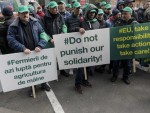 Fermierii români, protest la Bruxelles!