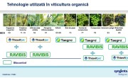 Grafic 2 syngenta