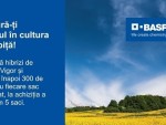 Hibrizii InVigor® sunt alegerea ta pentru o cultură de rapiță sănătoasă!