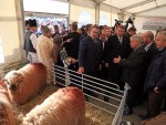 EXCLUSIV. ULTIMA ORĂ: ANSVSA s-a răzgândit! Fermierii AU VOIE cu ANIMALE la INDAGRA 2018!