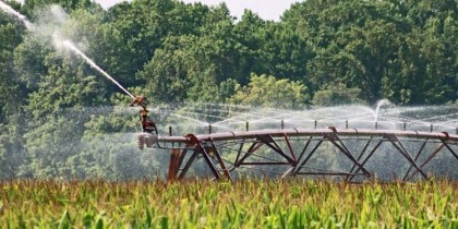 Campanie irigații 2024: Ce suprafață cu culturi agricole a fost irigată până acum!