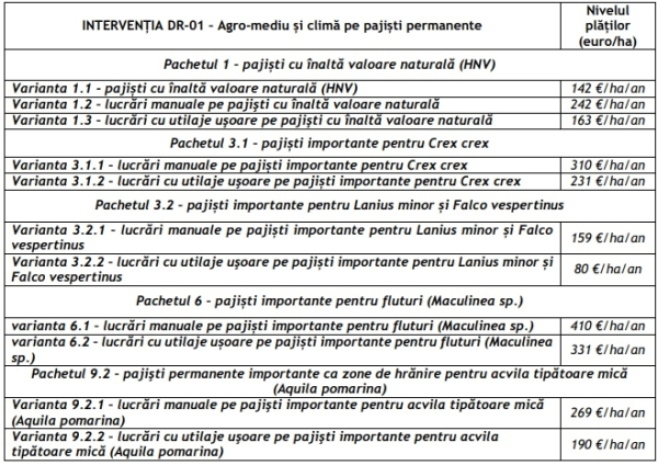 lista pajist_b