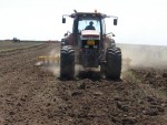 Primăvara agricolă. Campanie între contractul futures şi suflatul în... silicvă