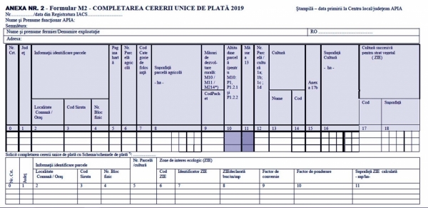 m2-cerere-2019_b