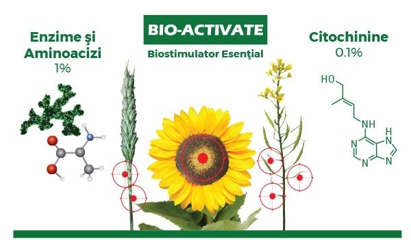 Machete-web-01 bioactivate _b