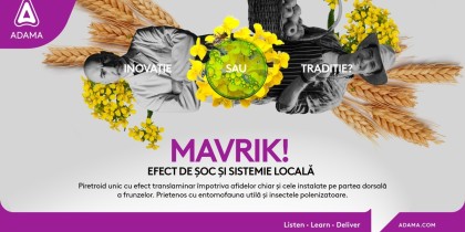Fără insecte dăunătoare în culturile de floarea-soarelui și porumb – portofoliul ADAMA: Mavrik, Lamdex Extra, Ninja