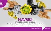 Fără insecte dăunătoare în culturile de floarea-soarelui și porumb – portofoliul ADAMA: Mavrik, Lamdex Extra, Ninja