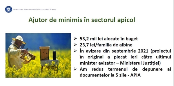 minimis-12-nov_b