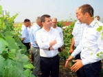 Ce spune ministrul Agriculturii despre despăgubirile pentru secetă?