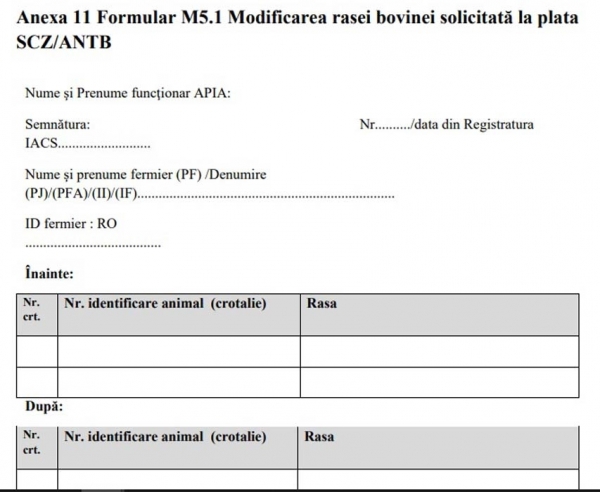 modificare-rasa-vaca_b