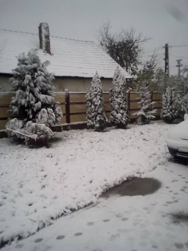 ninge-oradea_b