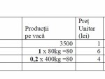 norma-venit-vaci