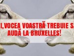 CRESCĂTORI DE ANIMALE, VOCEA VOASTRĂ TREBUIE AUZITĂ ACUM LA BRUXELLES PÂNĂ NU E PREA TÂRZIU!