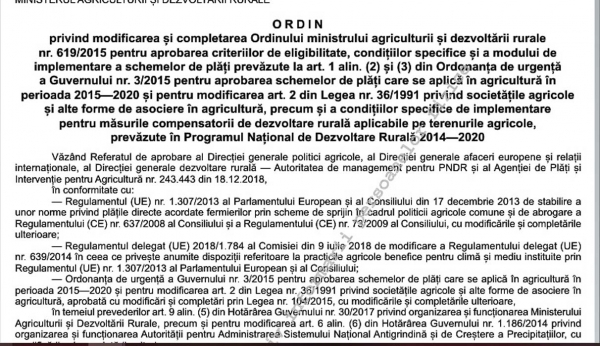 ordin-619-2019_b