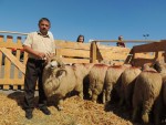 AgroBihor numără şase ediţii