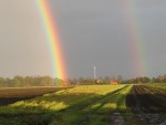 Ce-şi doresc agricultorii români pentru anul 2014? Aşteptări şi mesaje către liderii din agricultură