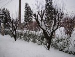 Cum va fi vremea în următoarele trei luni? ANM anunţă precipitaţii abundente în ianuarie şi februarie!