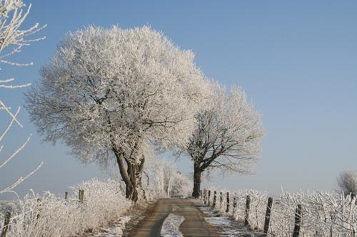 peisaj-de-ianuarie