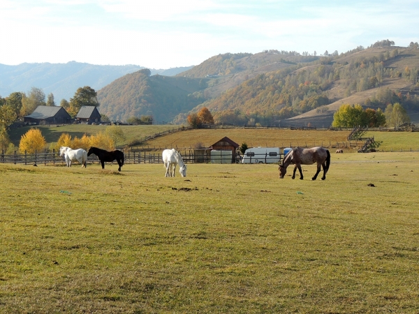 peisaj de toamna in judetul Alba