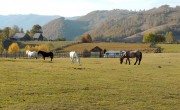 peisaj de toamna in judetul Alba