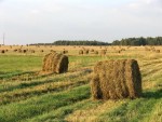 Comasarea terenurilor agricole… fără bani