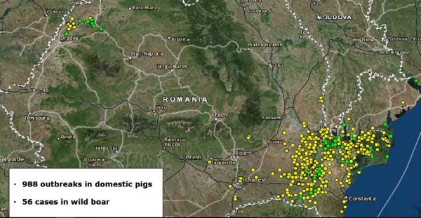 pesta-romania_b