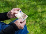 Subvenția APIA de 99 euro/ha pentru micii fermieri: Ce se modifică!