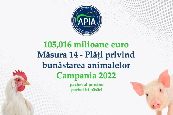 APIA ASTĂZI: Plăți Pentru Crescătorii De Animale! | Agroinfo.ro