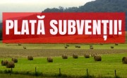 Subvenția APIA de 101 euro/ha plătită AZI! Câți fermieri, crescători de animale primesc sprijinul!