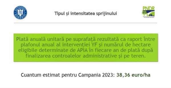 plata-tineri-2023_b