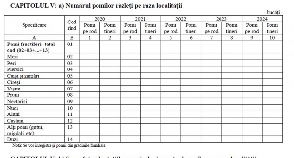 pomi-razleti-bun_b