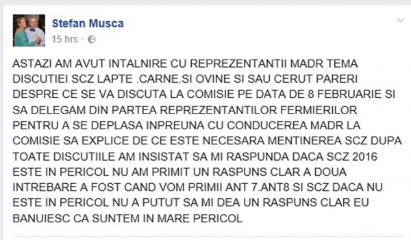 postare-musca-stefan_b