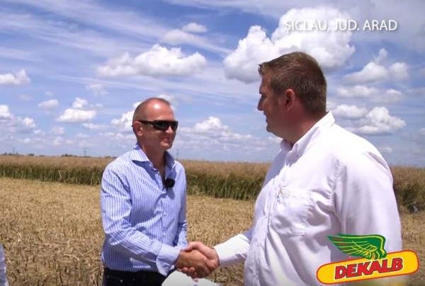 PREMIILE DEKALB ”Generația 6 tone” PRODUCȚIE la RAPIȚĂ!