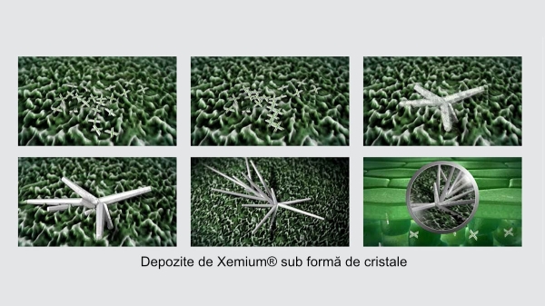 priaxor-depozite-fluxapiroxad-cristale_b