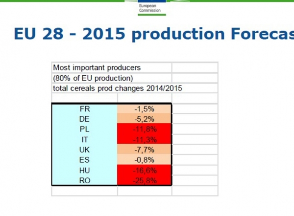 productii-cereale_b