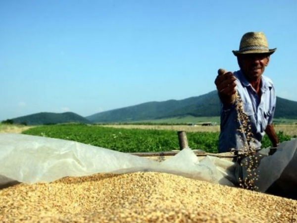 SĂ NU FACEM din CREȘTEREA PRODUCȚIEI AGRICOLE O ÎNTRECERE SOCIALISTĂ!