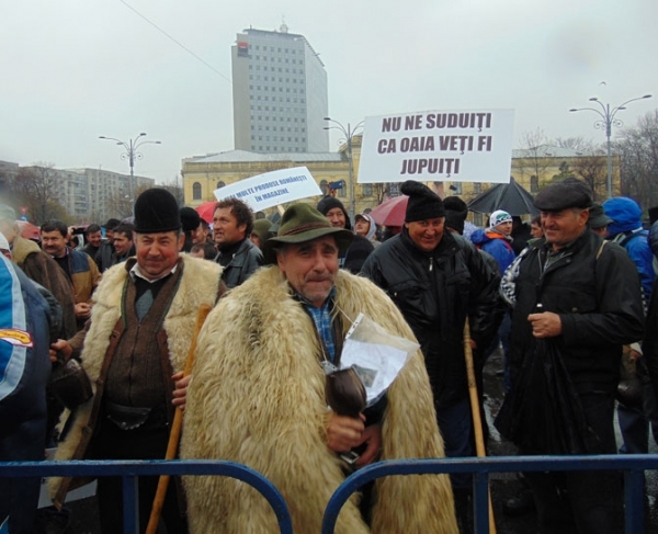 Fermierii români nu vor să CERȘEASCĂ! Fermierii români vor ce li se CUVINE!