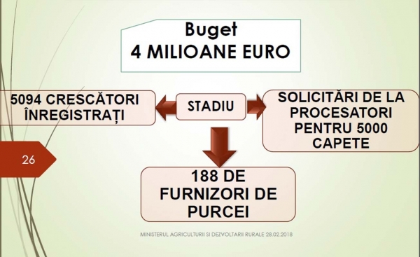 purcei-prezentare_b