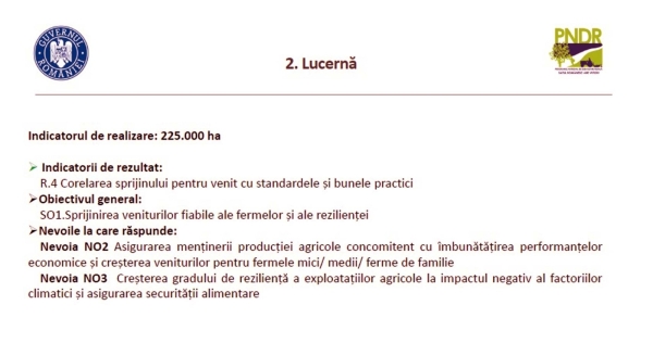 scv-lucerna-2023_b