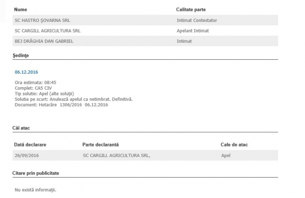 sentinta-cargill-stroescu_b