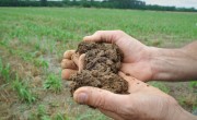 Soil_Corteva Agriscience_Harness Nature Power for a Sustainable Agriculture