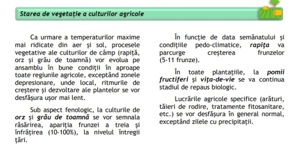 stare culturi 19 ian_b