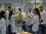 Admitere 2020: Fii student la Facultatea de Bioingineria Resurselor Animaliere din Timișoara!