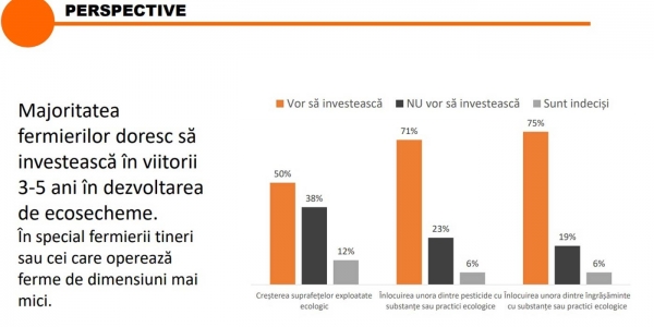 studiu-pac-sapte_b