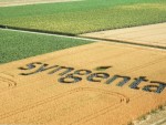 Syngenta se întâlnește cu fermierii din sudul României