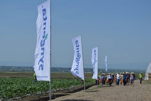 syngenta1_b