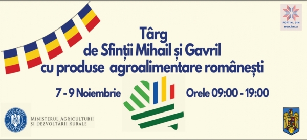 targ mihail gavril_b