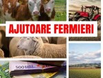 Ajutoare mai mari pentru toți fermierii, crescătorii de animale!