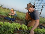 SUTE DE MILIOANE DE EURO pentru 3.000 de TINERI FERMIERI și 1.000 de FERME MICI!