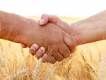 Sute de mesaje de la fermieri: E timpul să se audă VOCEA NOASTRĂ! Este MARE nevoie de Partidul Agricultorilor!